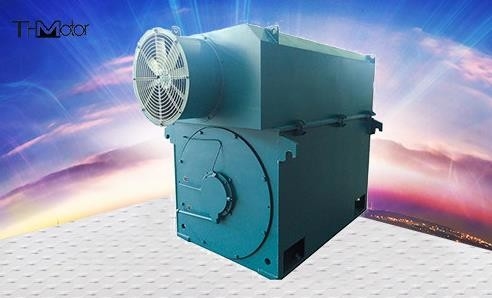 400kw a 6000kw C.A. de alta tensão da gaiola de esquilo de 3 fases viaja de automóvel o minuto 596r/