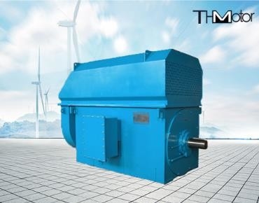 IP23 100rpm de baixo nível de ruído de poupança de energia 3000rpm aos motores elétricos de alta tensão 50Hz 10KV