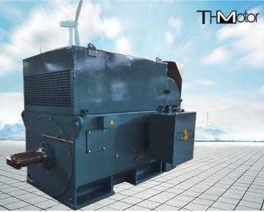 O grande esquilo de Y800 6000kw prende o minuto de alta tensão IP54 dos motores elétricos 1500r/