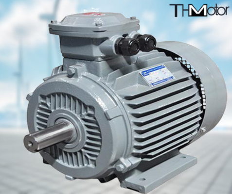 GB30254 Bomba de motor elétrico à prova de chamas de alta tensão IP65 165kW
