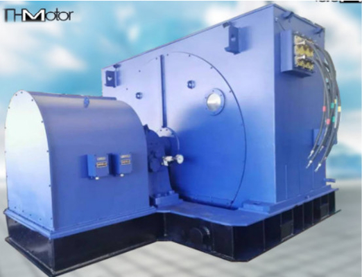 Conduzindo a chama do motor síncrono da C.A. dos compressores impermeabilize 10 quilovolts 12000kw elétrico