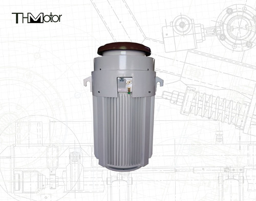 IE2 0-40C Motores de aplicações especiais de 600 V a 600 CV para a gama de temperaturas