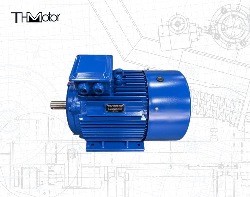 IC0141 Motor de gaiola de esquilo com diâmetro de eixo de 75 mm para operação contínua S1