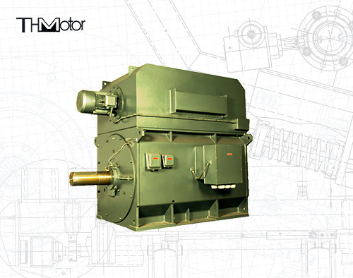 Inversor de gaiola YPKK Motor assíncrono de três fases 3000RPM IP55 6000KW