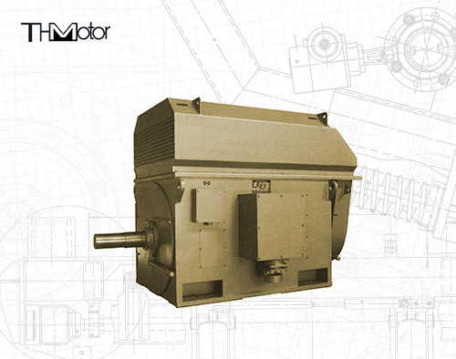 Tipo motor de indução 6000kw do rotor sem fôlego de moinho de rolamento do IEC GB
