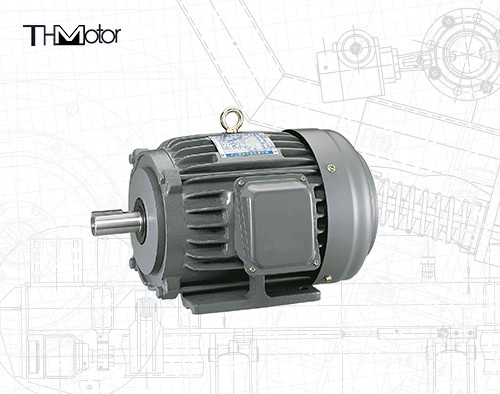 Motor de alta tensão IP55 da C.C. do NEMA do NEP TEFC para transportes dos ventiladores