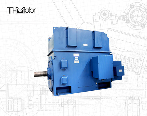 motor elétrico à prova de chama P44 assíncrono IP54 IP55 de 3000V 6000V 1500rpm