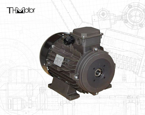 Motor de corrente contínua de tensão IP54/IP55 para aplicações industriais