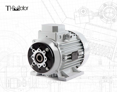 1000-12000kw 4/6 Polos Voltagem DC Motor eixo oco / eixo sólido para aplicações de trabalho pesado