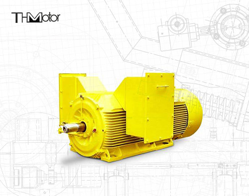 20P motor elétrico à prova de chama 5600KW de gaiola de esquilo de 3 fases