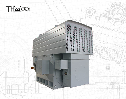 Motor assíncrono elétrico do motor elétrico de Ring Three Phase Motor Induction do deslizamento