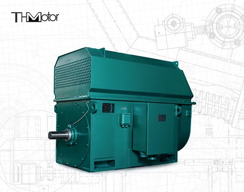 Motor elétrico de alta tensão IP44 IP54 da C.A. do motor elétrico 600kw 700kw 800KW 10000V 2978rpm de YKK