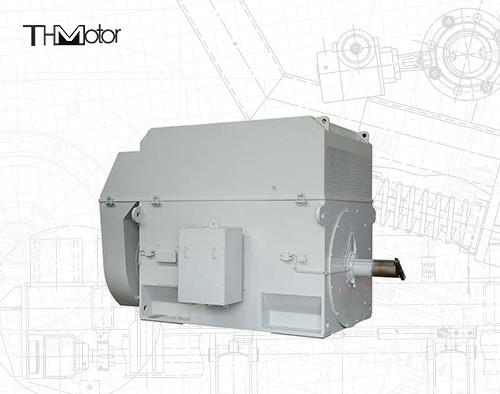Motor de gaiola de esquilo de 50 Hz com eixo de 100 mm para operação contínua de 3000 RPM