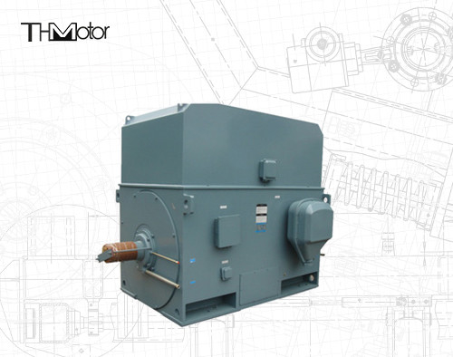 Motor elétrico de gaiola de esquilo industrial 3000RPM 1250KW 142A IP55 contínuo S1