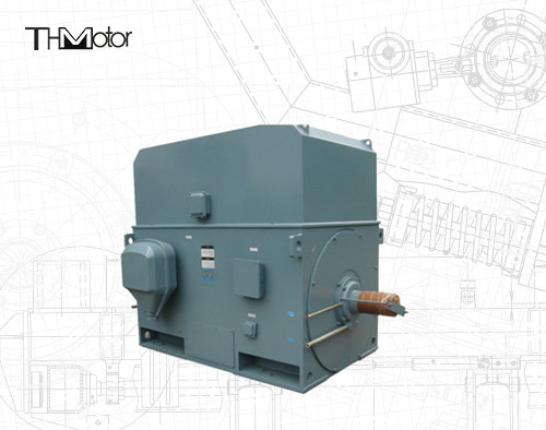Motor elétrico de gaiola de esquilo industrial 3000RPM 1250KW 142A IP55 contínuo S1