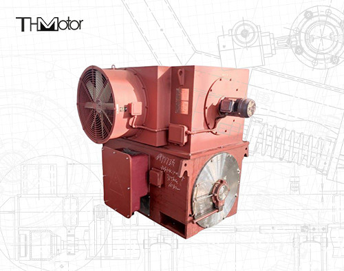 Motor síncrono trifásico IP44 de rotor sem fôlego da indução de 6KV 10KV