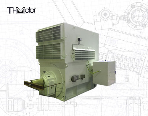 Motores de Indução Trifásicos Série WPI WPII para Uso Industrial