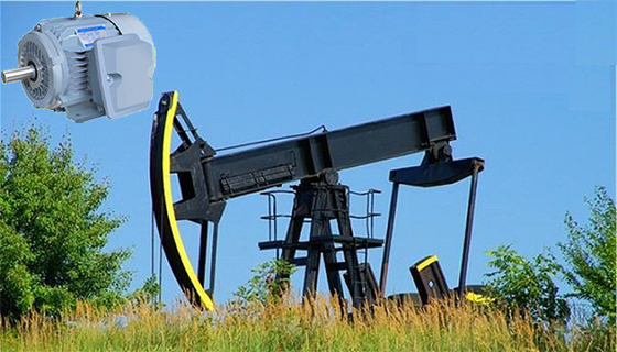 Motor de indução alto IP55 do deslizamento do torque alto superior do NEMA para a bomba de poço de petróleo