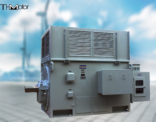 Motor síncrono trifásico IP44 de rotor sem fôlego da indução de 6KV 10KV