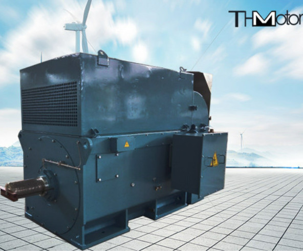 Y800 400kw ao esquilo 6000kw prendem os motores elétricos de alta tensão 1500r/Min 3600rpm
