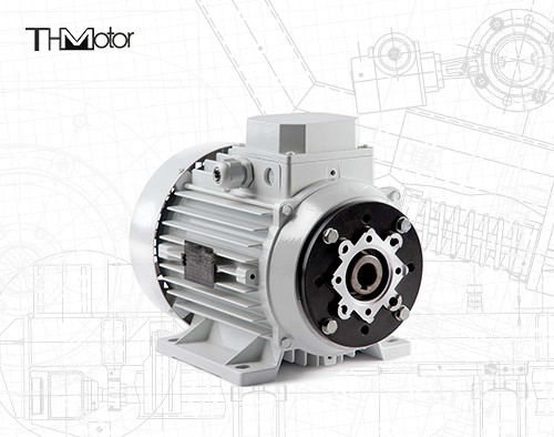 1000-12000kw 4/6 Polos Voltagem DC Motor eixo oco / eixo sólido para aplicações de trabalho pesado