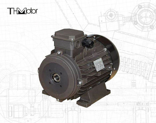 Motor de corrente contínua de tensão IP54/IP55 para aplicações industriais