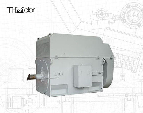 Motor de gaiola de esquilo de 50 Hz com eixo de 100 mm para operação contínua de 3000 RPM